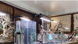Best Stainless Steel Canister Filter for Aquascaping: Smart