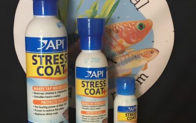 Best Stress Coat for New Fish: A Careful Expert Buyer Guide