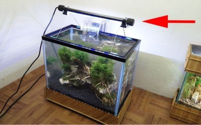 Best Submersible Aquarium LED Light: Top IP68 Top Picks