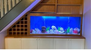 Best Tall Aquarium For Bookshelf: Best Expert-Tested Guide