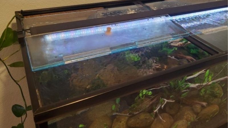 best tempered glass aquarium lid