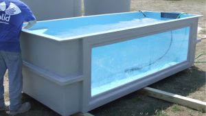 Best Temporary Fish Holding Tank For Tank Transfers: Trusted