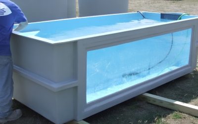 Best Temporary Fish Holding Tank For Tank Transfers: Trusted