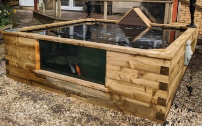 Best Transparent Fish Pond With Observation Window: Reliable
