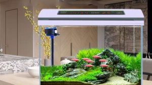 Best Ultra Clear Glass Fish Tank: Best Expert-Tested Guide