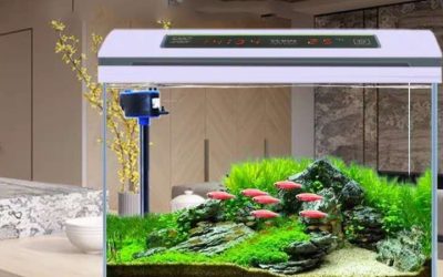 Best Ultra Clear Glass Fish Tank: Best Expert-Tested Guide