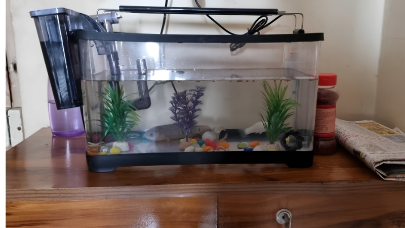 best unbreakable fish tank for classrooms
