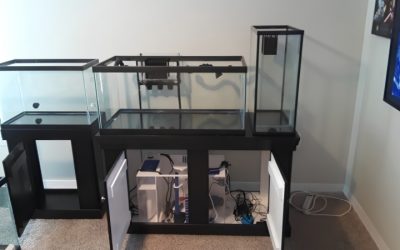 Best Under Sink RODI Setup for Fish Room: Top Compact Picks