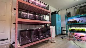 Best Waterproof Finish for an Aquarium Rack: Smart Top Picks