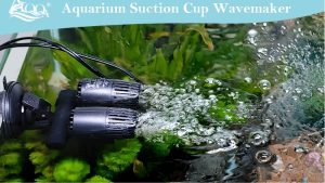 Best Wave Maker for 10 Gallon Tank: Top Tested Flow Picks