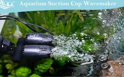 Best Wave Maker for 10 Gallon Tank: Top Compared Flow Picks