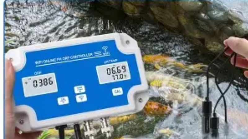 best wifi enabled ph and orp monitor