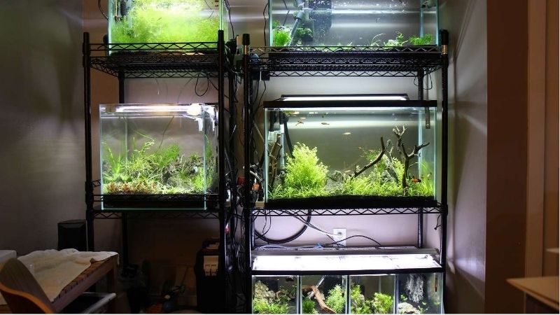 best wooden aquarium rack
