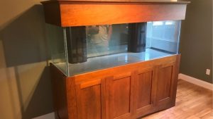 Best Wooden Aquarium Stand: Top Compared Guide for Real Tanks