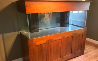 Best Wooden Aquarium Stand: Top-Rated Guide for Real Tanks