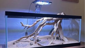 Clip On vs Full Hood Aquarium Light: Best Tested Choice