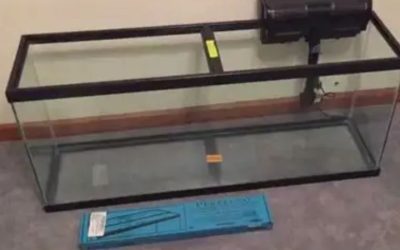 Common Mistakes When Buying a 75 Gallon Aquarium Kit: Guide