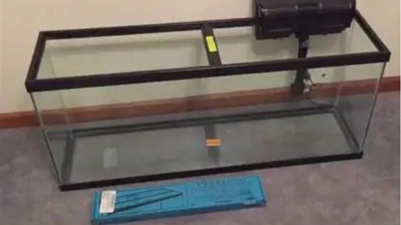common mistakes when buying a 75 gallon aquarium kit