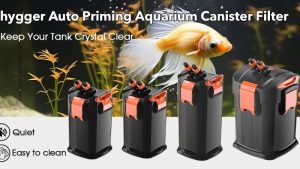 Common Mistakes When Buying a Canister Filter: Best Compared