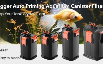 Common Mistakes When Buying a Canister Filter: Best-Rated