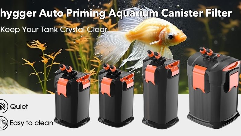 common mistakes when buying a canister filter