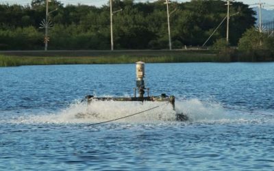 Common Mistakes When Buying a Pond Aerator: What to Avoid