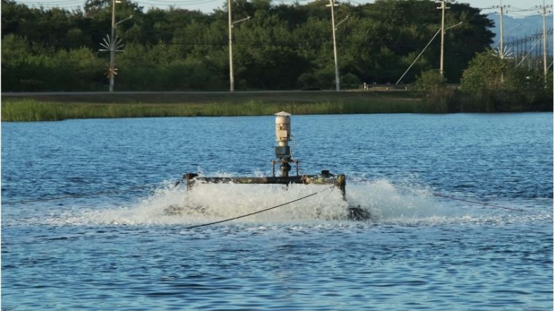common mistakes when buying a pond aerator
