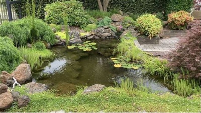 common mistakes when buying a pond filter system
