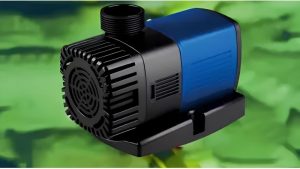 Common Mistakes When Buying a Pond Pump: Proven Top Guide