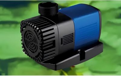 Common Mistakes When Buying a Pond Pump: Proven Top Guide