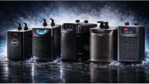 Common Mistakes When Buying an Aquarium Chiller: Top Guide