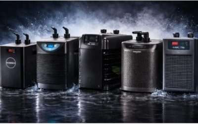 Common Mistakes When Buying an Aquarium Chiller: Top Guide