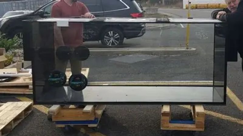common mistakes when buying an aquarium overflow box