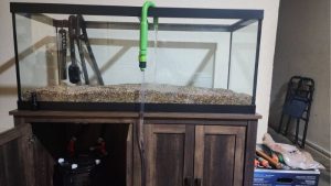 Common Mistakes When Buying an Aquarium Stand: Top Guide