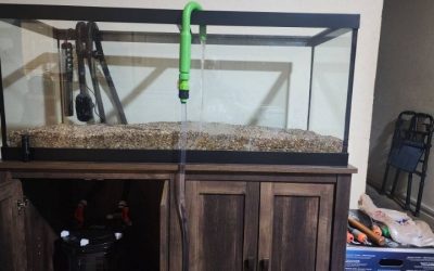 Common Mistakes When Buying an Aquarium Stand: Top Guide