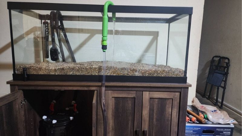 common mistakes when buying an aquarium stand