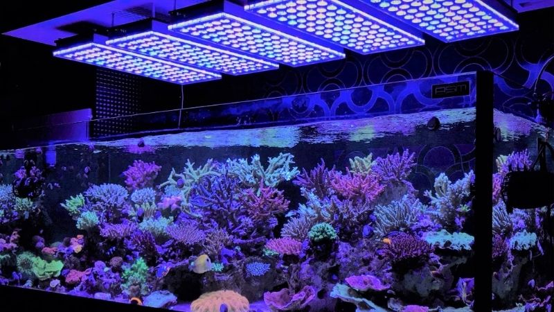 common mistakes when buying reef led light