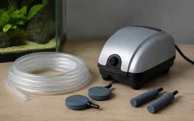 Aquarium Air Stone vs. Powerhead: Which is Better for Flow?