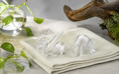 8 Best Aquarium CO2 Diffusers for Lush Plant Growth