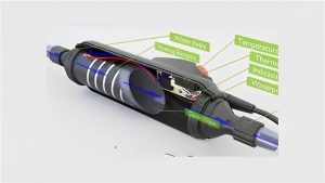 Aquarium Heater vs Inline Heater: Which One Should You Pick