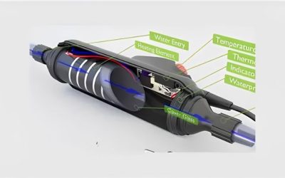 Aquarium Heater vs Inline Heater: Which One Should You Pick