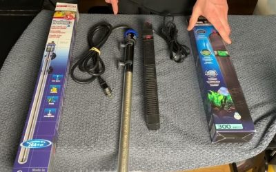 Eheim Jager vs Fluval M Heater Comparison: Best 100W Compared
