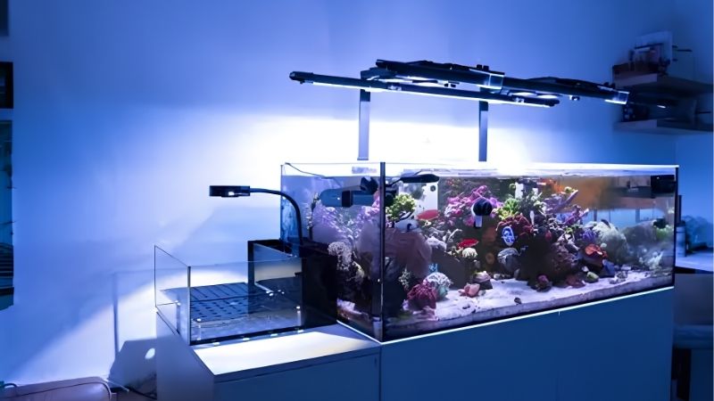 Even light beats bright light on frags