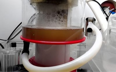 Best Protein Skimmer Neck Cleaner Accessory: How to Pick
