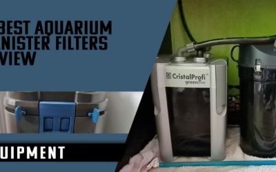 Best Canister Filter for Planted Tank Setups: Flow and CO2