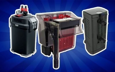 Fluval FX6 vs FX4 Which Canister Filter Is Best? Compared