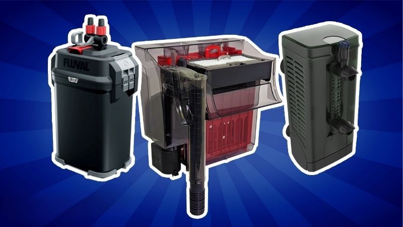 fluval fx6 vs fx4 which canister filter