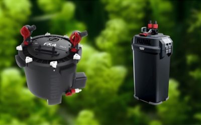 Fluval vs Marineland Canister Filters Compared: Key Facts