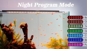Freshwater Aquarium Light Buying Guide: What to Check First