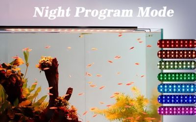 Freshwater Aquarium Light Buying Guide: What to Check First